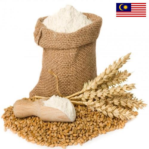 мука пшеничная высший из Малайзии