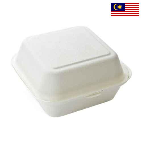 Одноразовые контейнеры из Малайзии