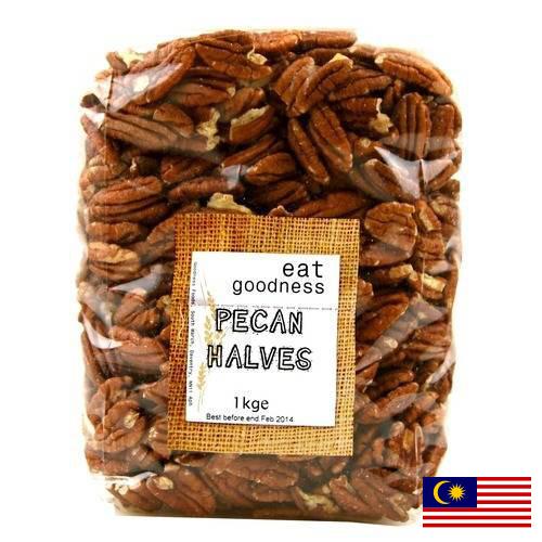 Орехи пекан из Малайзии