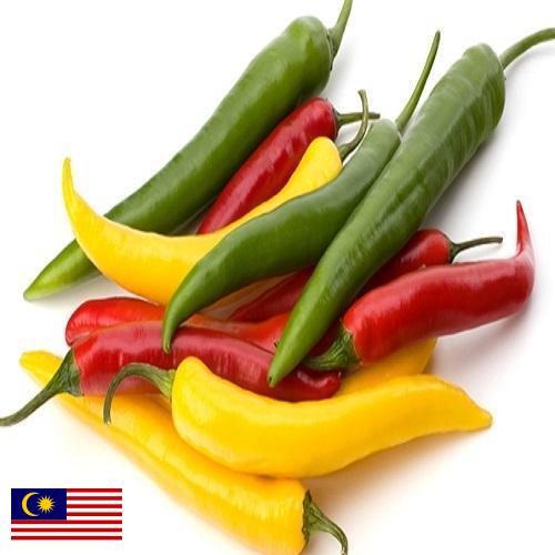 Перец чили из Малайзии