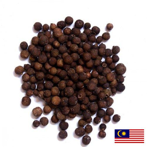 Перец душистый из Малайзии