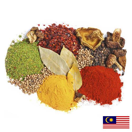 пряности из Малайзии