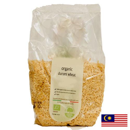 пшеница твердая из Малайзии