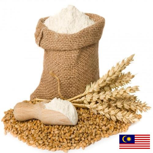Пшеничная мука из Малайзии