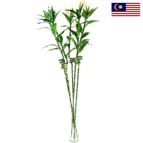 Растения искусственные из Малайзии