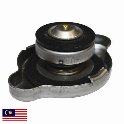 Решетка радиатора из Малайзии