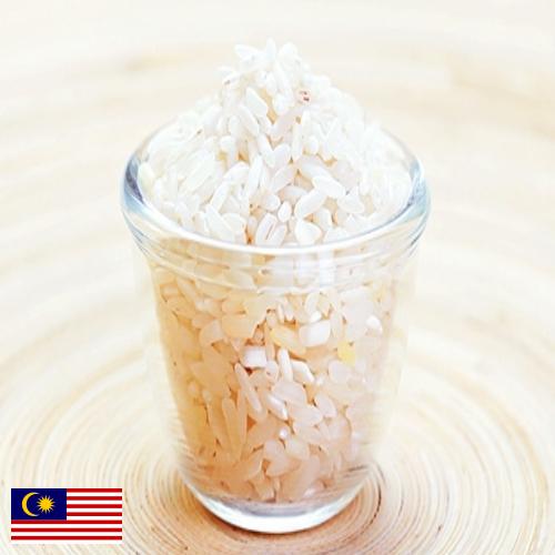 рис шлифованный из Малайзии