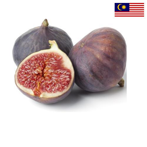 Рис из Малайзии