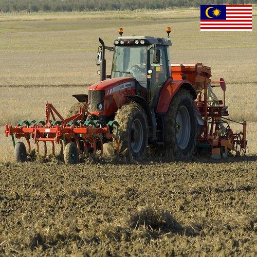 Сельскохозяйственная техника из Малайзии