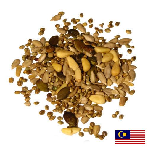 Семечки из Малайзии