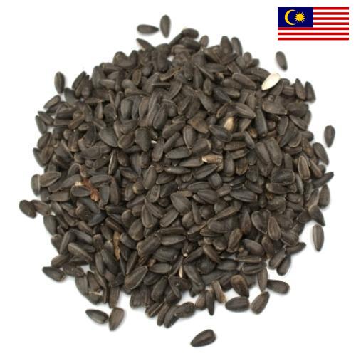 Семена цветов из Малайзии