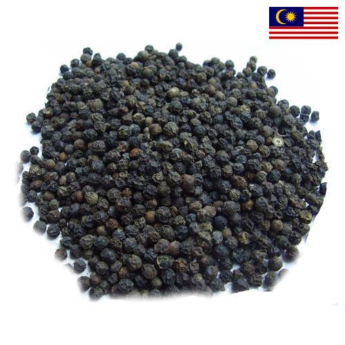 Семена перца из Малайзии