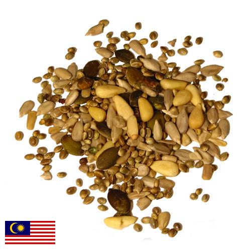 Семена из Малайзии