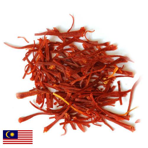 Шафран из Малайзии