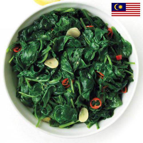 Шпинат из Малайзии