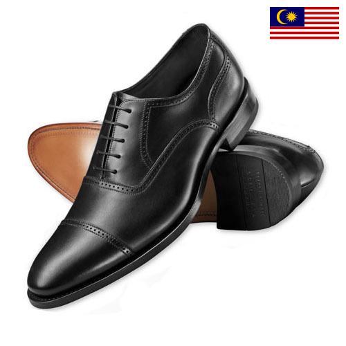 Шумовки из Малайзии