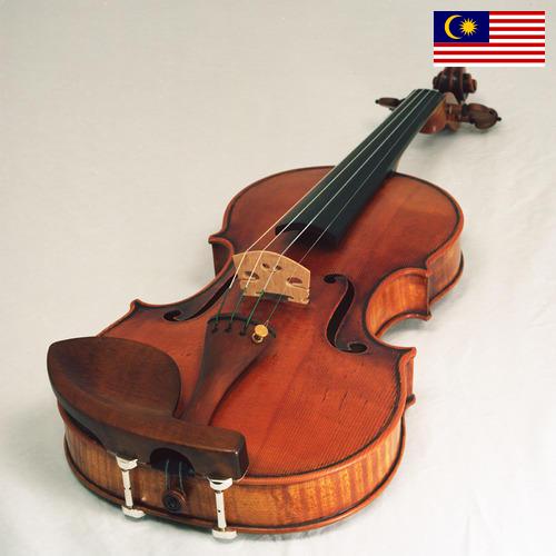 Скрипки из Малайзии