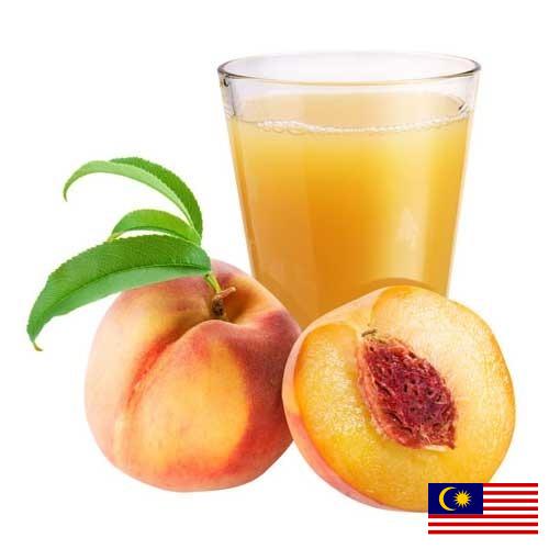 Сок абрикосовый из Малайзии