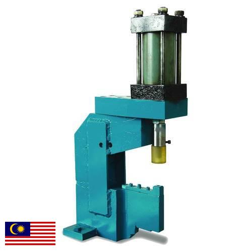 станок клепальный из Малайзии