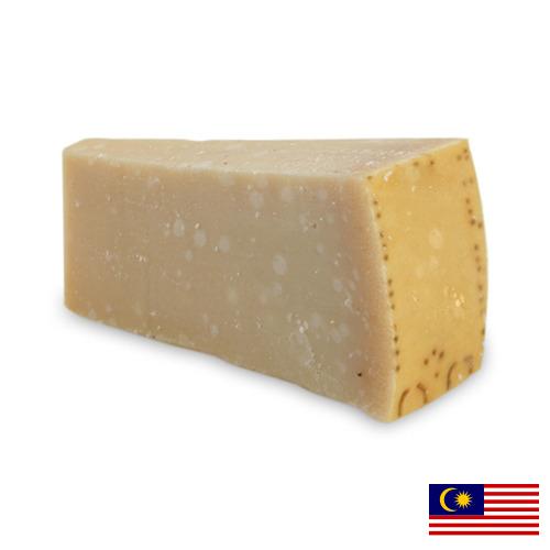 сыр пармезан из Малайзии