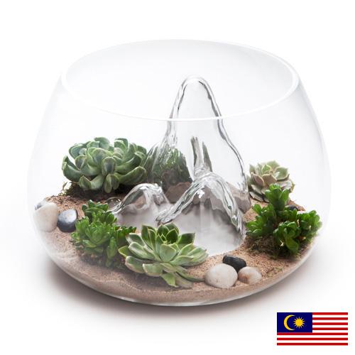 Террариумы из Малайзии