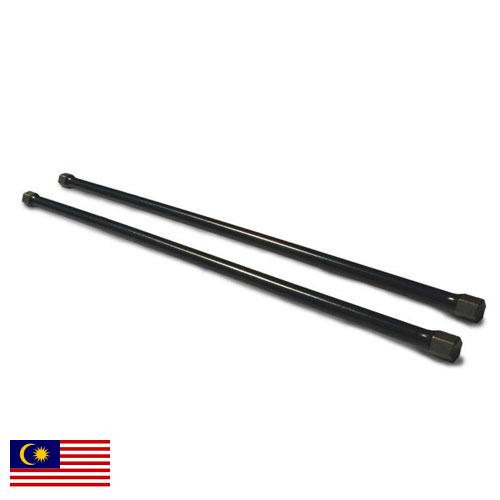 Торсионы из Малайзии