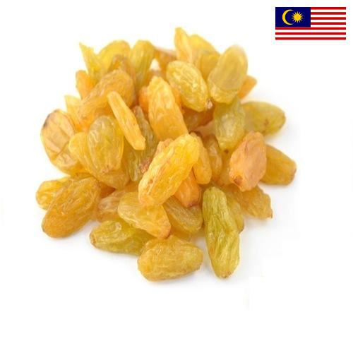 виноград сушеный из Малайзии