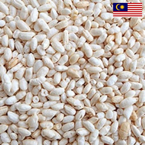 Воздушный рис из Малайзии