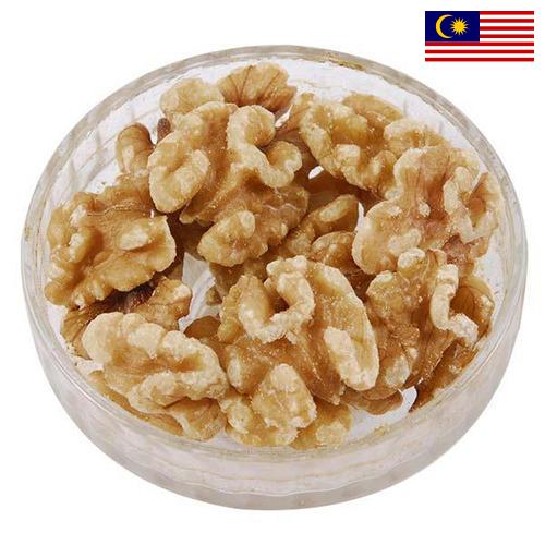 Ядра орехов из Малайзии