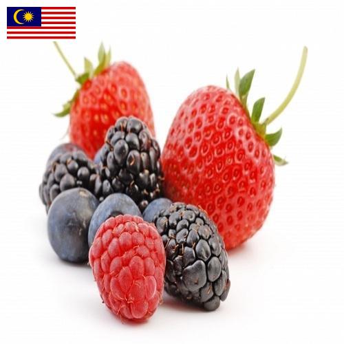 Ягоды из Малайзии
