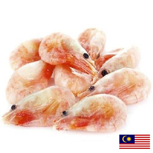 замороженные креветки из Малайзии