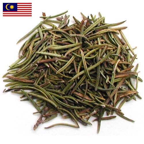 зелень сушеная из Малайзии