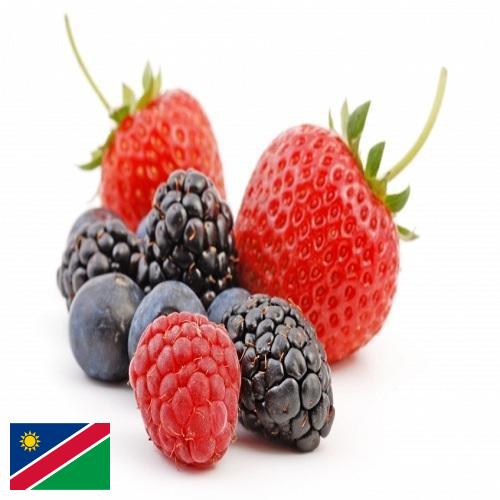 Ягоды из Намибии