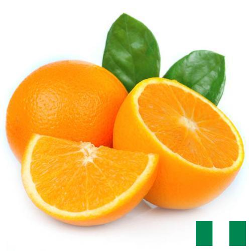 апельсины свежие из Нигерии