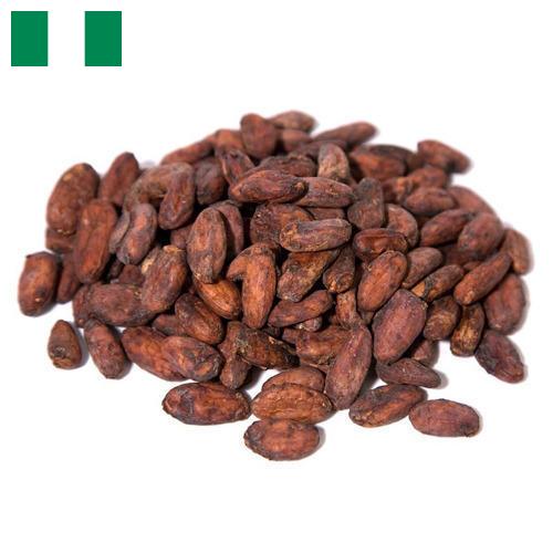 какао бобы из Нигерии