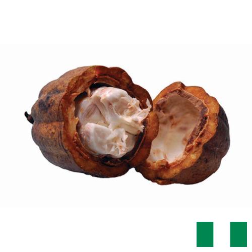 Какао масло из Нигерии