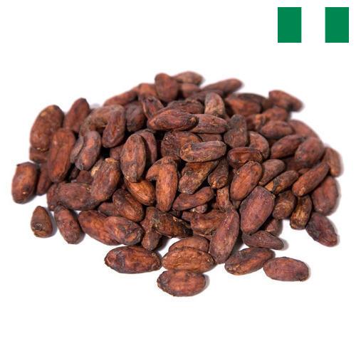 какао-бобы из Нигерии