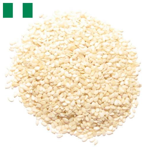 кунжут семена из Нигерии