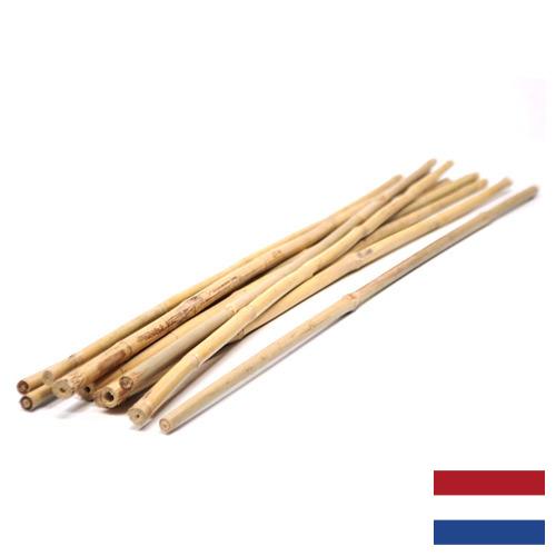 бамбуковые палочки из Нидерландов