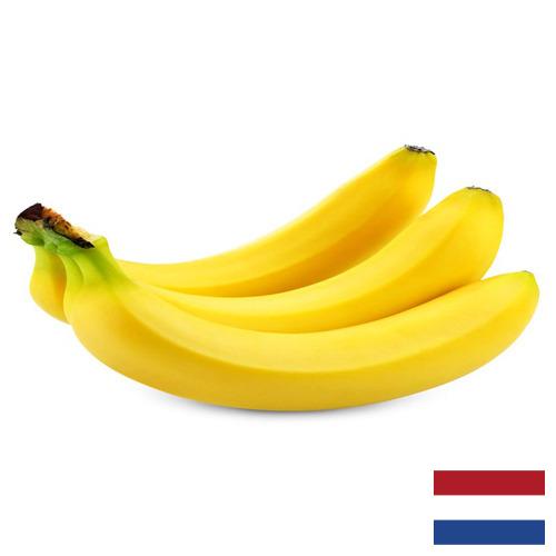 Бананы из Нидерландов