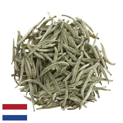 Белый чай из Нидерландов