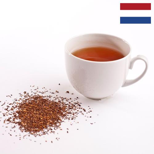 чай ройбуш из Нидерландов