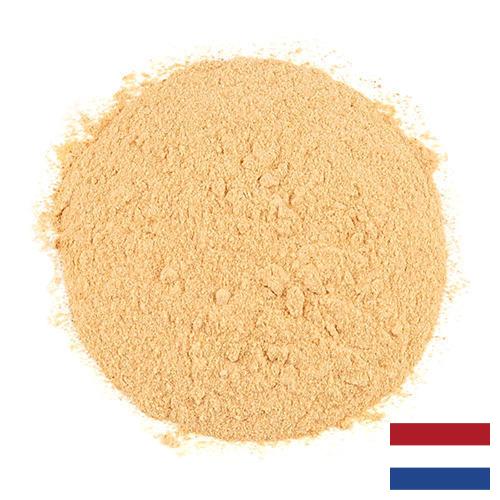 чеснок порошок из Нидерландов