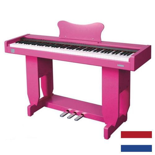 Цифровое фортепиано из Нидерландов