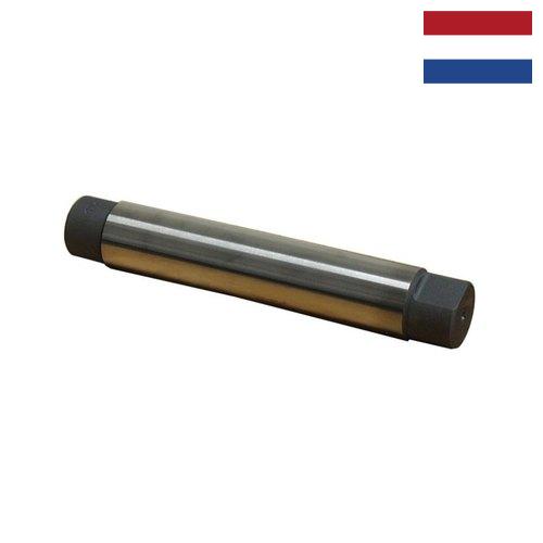 Дорн из Нидерландов