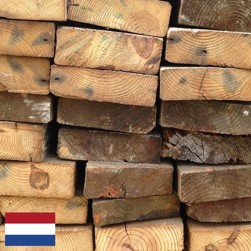 Дрова из Нидерландов
