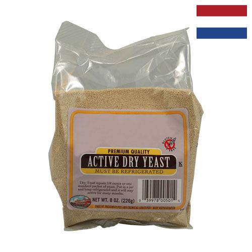 дрожжи сухие из Нидерландов