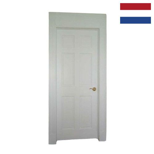 Дверь душевая из Нидерландов