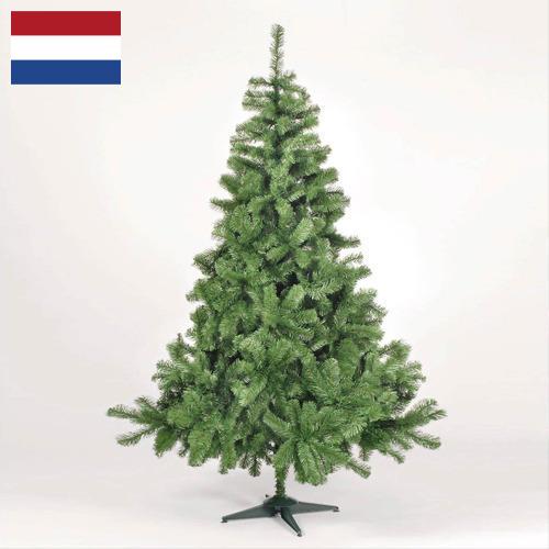 Елки искусственные новогодние из Нидерландов