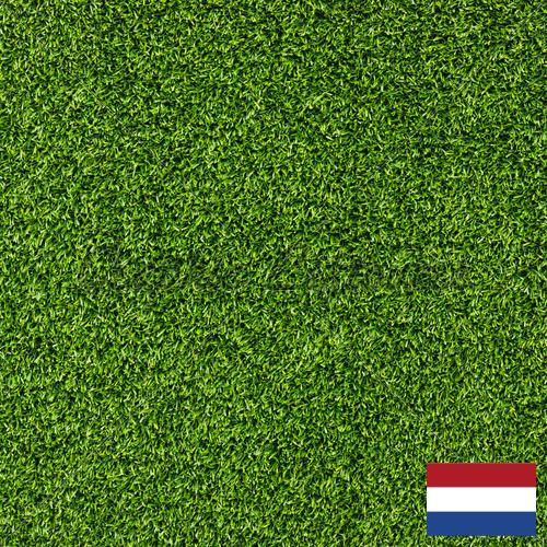 газон искусственный из Нидерландов